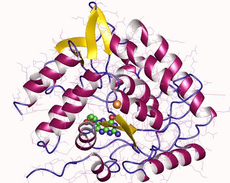 File:1mlw.jpg