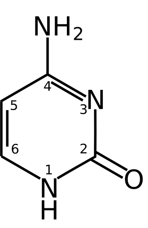 File:Cytosine chemical structure.svg