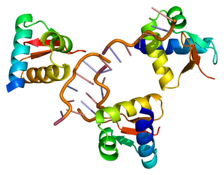 File:Protein ADAR PDB 1qbj.png