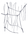 Enteric nervous system