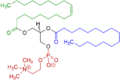1-Oleoyl-2-palmitoyl-phosphatidylcholine structural formula