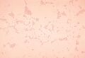 Thumbnail for version as of 19:17, 4 June 2026