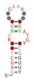 Thumbnail for version as of 14:55, 19 May 2026