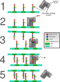 Thumbnail for version as of 22:34, 8 June 2026