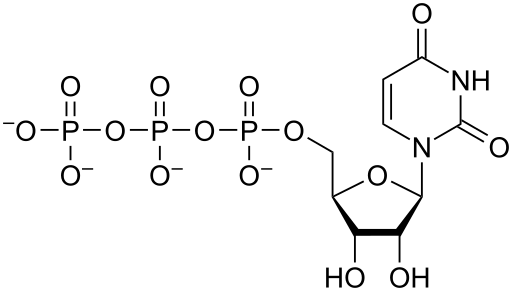 File:UTP chemical structure.svg