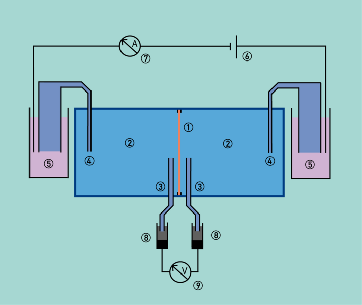 File:Ussingchamber.png