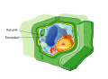 Thumbnail for version as of 22:37, 8 June 2026