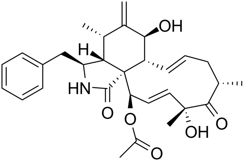 File:Cytochalasin D.png