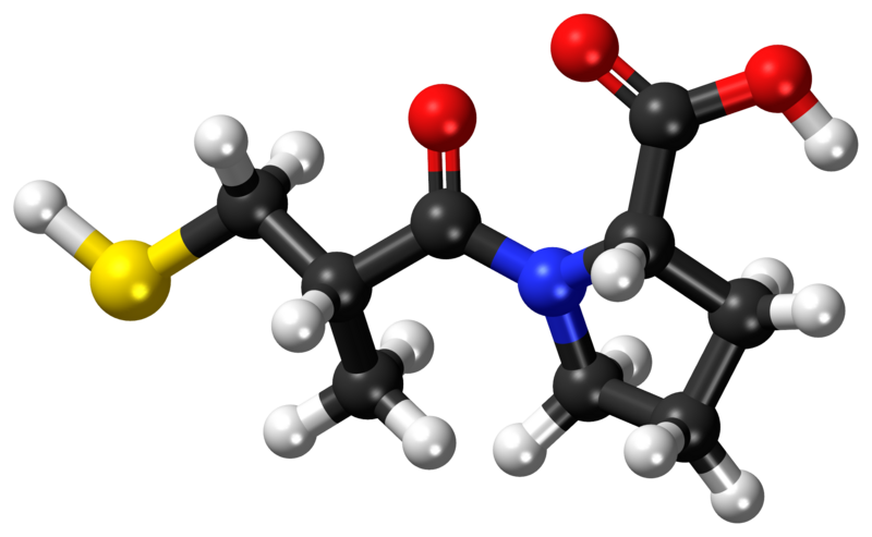 File:Captopril ball-and-stick model.png