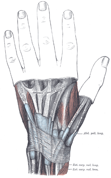 File:Gray1234.png