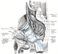 Thumbnail for version as of 17:28, 18 May 2026
