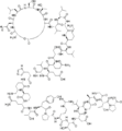 Thumbnail for version as of 13:14, 22 May 2026