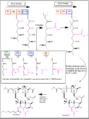 Thumbnail for version as of 02:08, 24 May 2026