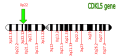 Thumbnail for version as of 11:33, 19 May 2026
