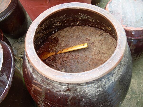 File:Fermented bean paste.jpg