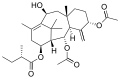 Thumbnail for version as of 14:41, 24 May 2026