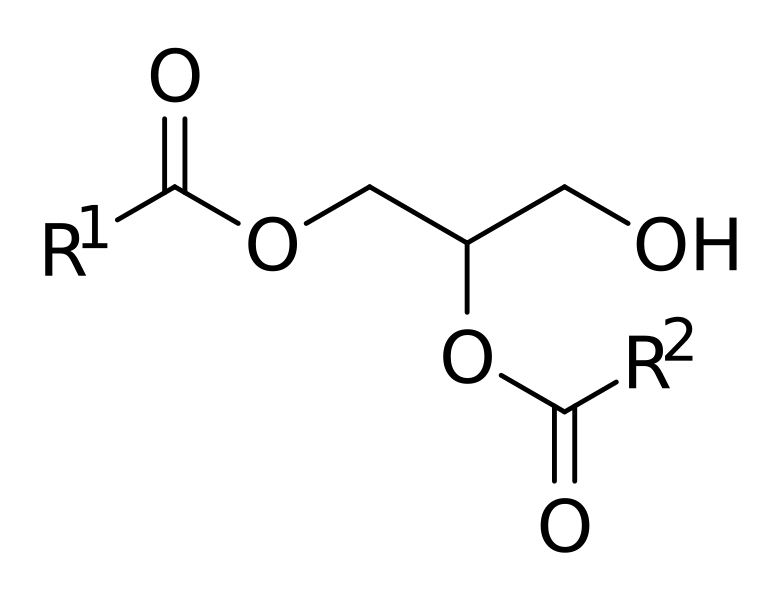 File:1,2-diacylglycerol.svg