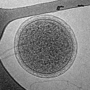 Thumbnail for version as of 02:06, 7 June 2026