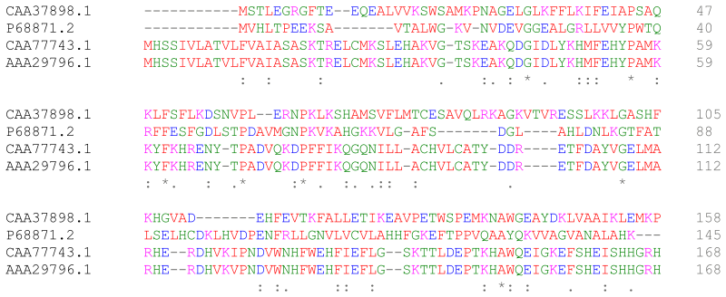 File:Protein alignment.svg