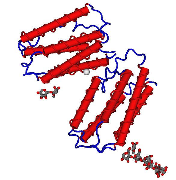 File:1AU1 Human Interferon-Beta.png