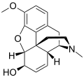 Thumbnail for version as of 14:55, 19 May 2026
