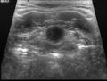 Thumbnail for version as of 22:37, 8 June 2026
