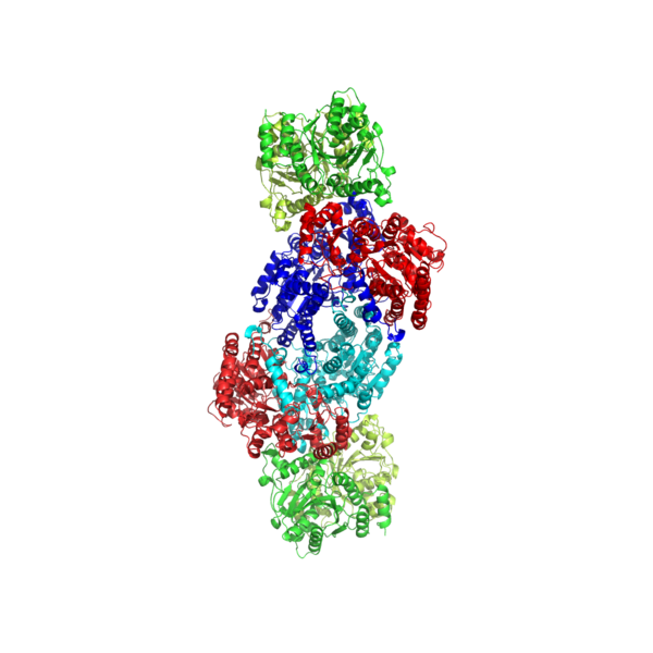 File:Nitrogenase.png