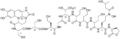 Thumbnail for version as of 02:09, 24 May 2026