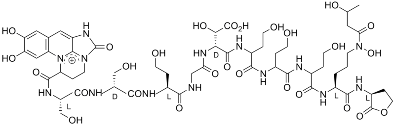 File:Azotobactin.png