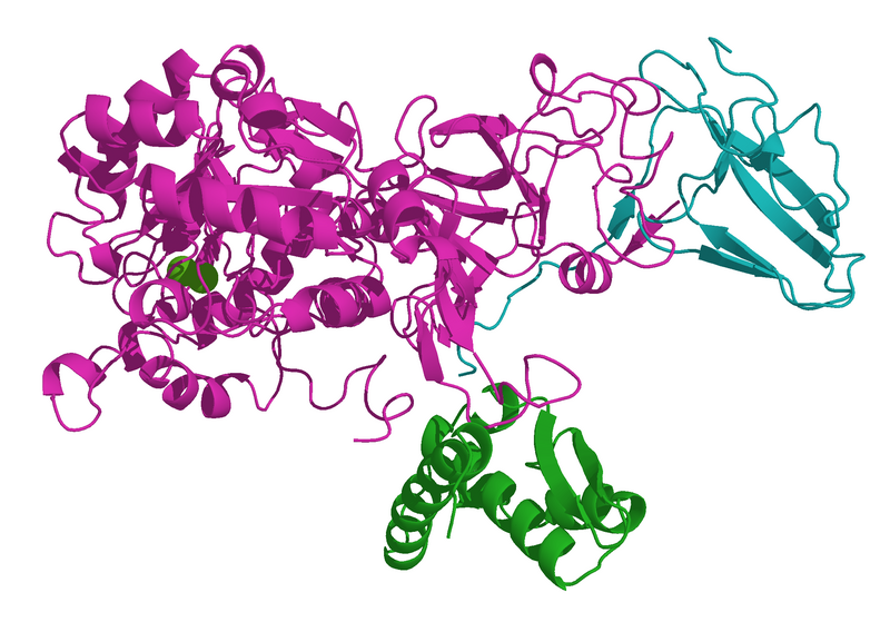 File:Urease 2KAU.png