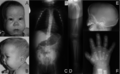 Thumbnail for version as of 13:39, 8 June 2026
