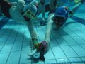 Octopush Two Players