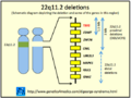 Thumbnail for version as of 02:08, 7 June 2026