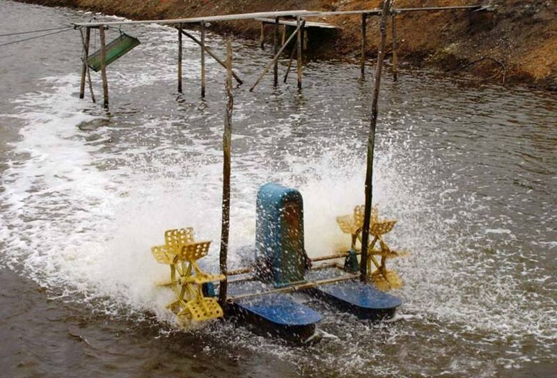 File:Paddlewheel aerator.jpg