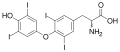 Thumbnail for version as of 12:34, 19 May 2026
