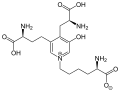 Thumbnail for version as of 13:13, 22 May 2026
