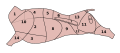 Thumbnail for version as of 01:20, 2 June 2026