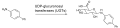 Thumbnail for version as of 14:41, 24 May 2026