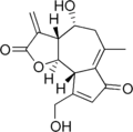 Thumbnail for version as of 15:35, 22 May 2026