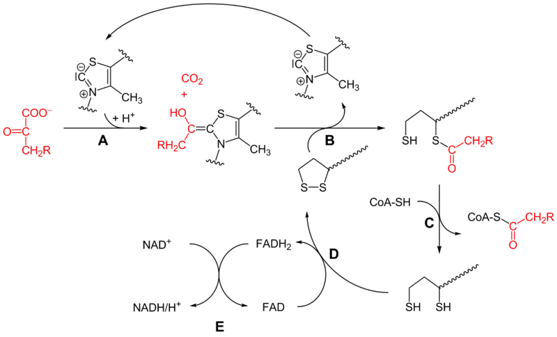 File:PDH schema.png