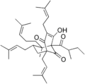 Thumbnail for version as of 09:36, 22 May 2026