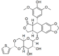 Thumbnail for version as of 22:27, 8 June 2026