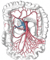 Thumbnail for version as of 18:56, 6 June 2024