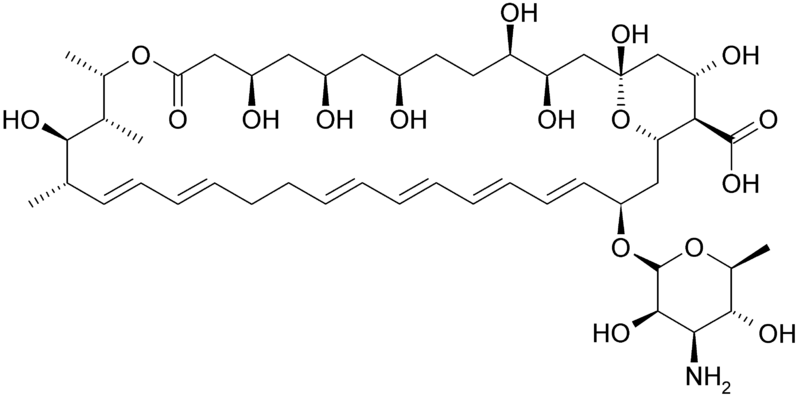 File:Nystatin.png