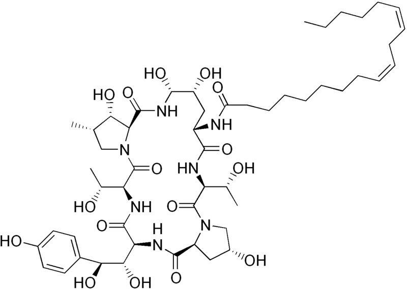 File:Echinocandin B.png