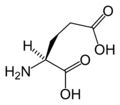 L-glutamic acid skeletal
