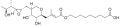 Thumbnail for version as of 12:33, 19 May 2026