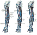 Thumbnail for version as of 12:51, 29 May 2026