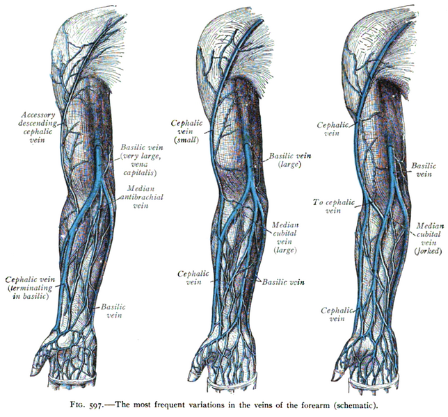 File:Sobo 1909 597.png