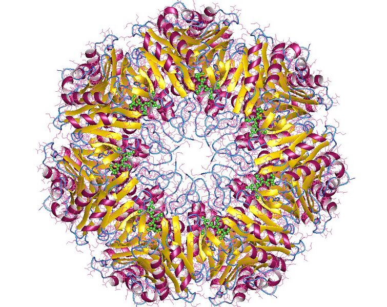 File:1j2q.jpg
